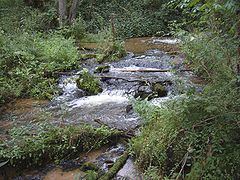 Sopot (river) httpsuploadwikimediaorgwikipediacommonsthu