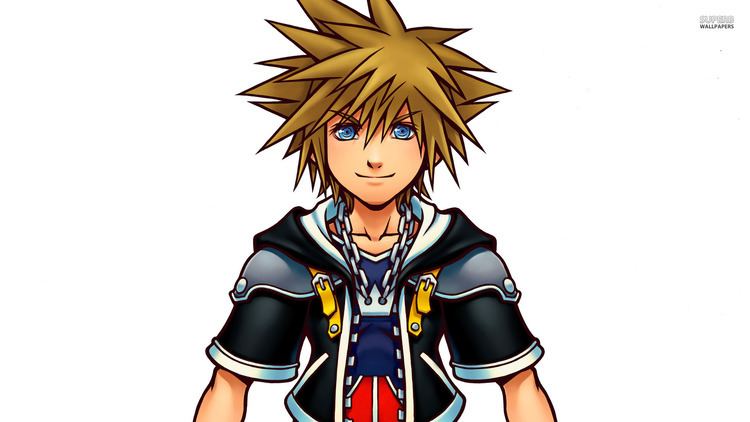 Sora (Kingdom Hearts) Kingdom Hearts Battle Of Soras