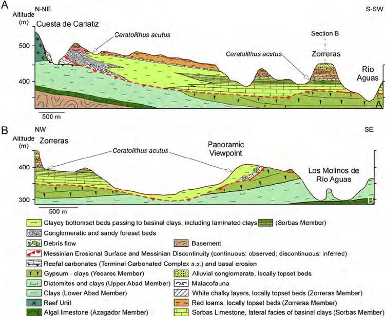 Sorbas basin Cross sections through the Sorbas Basin resulting from our