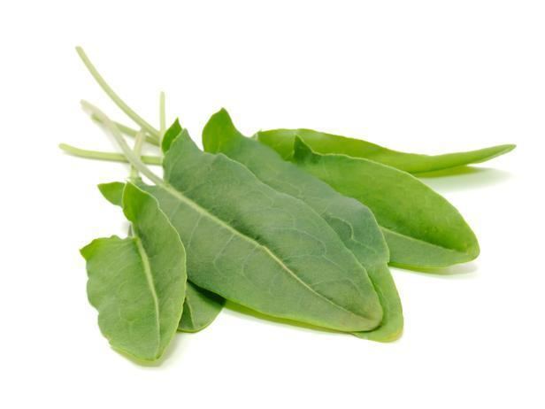 Sorrel Herb of the Month Sorrel Healthy Eats Food Network Healthy