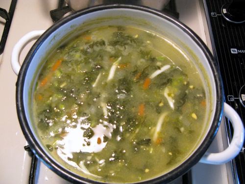 Sorrel soup everydayrussiancomwpcontentuploads200907Rus