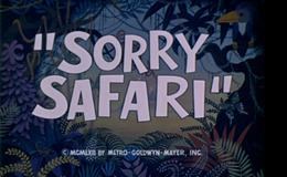 Sorry Safari movie poster
