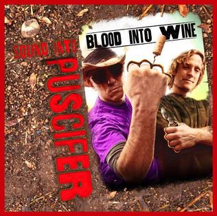 Sound into Blood into Wine httpsuploadwikimediaorgwikipediaen55cSou