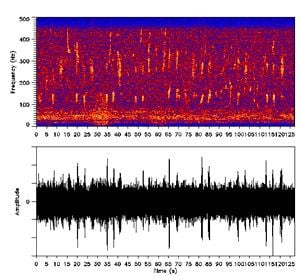 Sound speed gradient