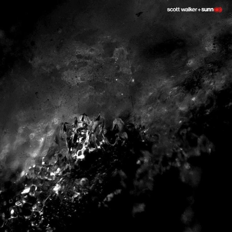 Soused (album) cdn4pitchforkcomalbums21197ed43c3a1jpg