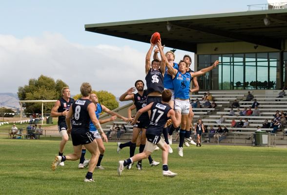 South Adelaide Football Club Insanity Multimedia web design photography graphic design and