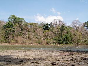 South Andaman Island httpsuploadwikimediaorgwikipediacommonsthu