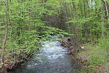 South Branch Roaring Creek httpsuploadwikimediaorgwikipediacommonsthu