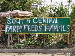 South Central Farm httpsuploadwikimediaorgwikipediacommonsthu
