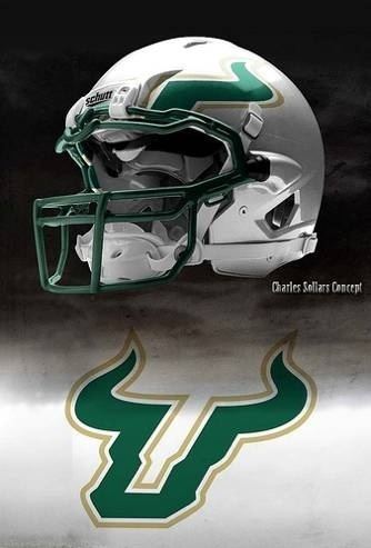 South Florida Bulls football 1000 images about USF University of South Florida Bulls on