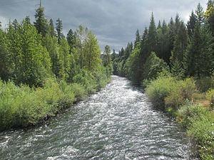 South Fork McKenzie River httpsuploadwikimediaorgwikipediacommonsthu