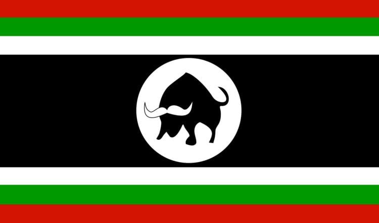 South Sudan Defence Forces