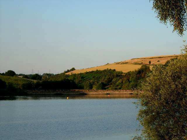 South Yorkshire Forest