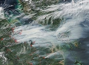 Southeast Asian haze Who Is Responsible For The Southeast Asian Haze New Culprits