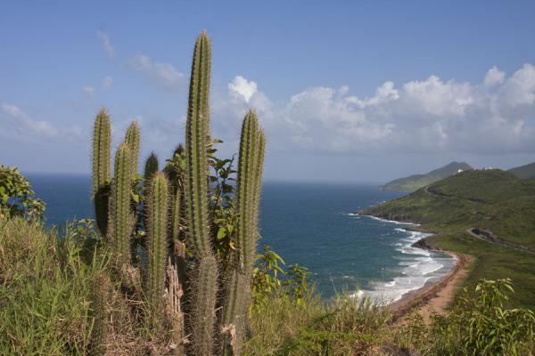 Southeast Peninsula (Saint Kitts) Peninsula on the western side of the southeast peninsula of St Kitts