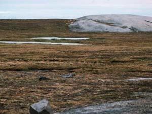Southern Arctic Ecozone (CEC) wwwarcticuoguelphcacpeenvironmentslandsouth