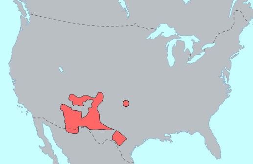 Southern Athabaskan languages