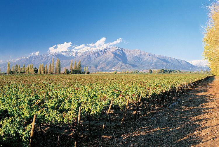Southern Chile (wine region)