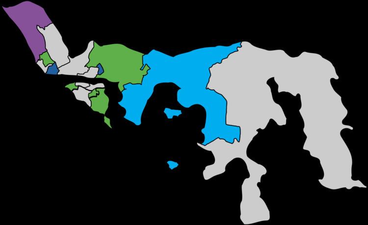 Southern District Council election, 2011