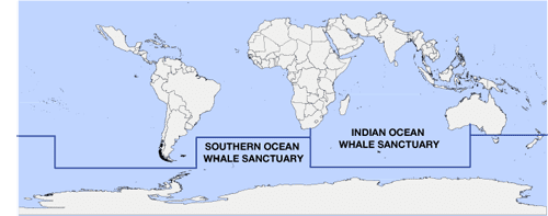 Southern Ocean Whale Sanctuary International whaling Parliament of Australia