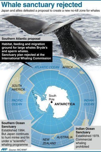 Southern Ocean Whale Sanctuary Whaling nations defeat proposed Atlantic sanctuary Alternet