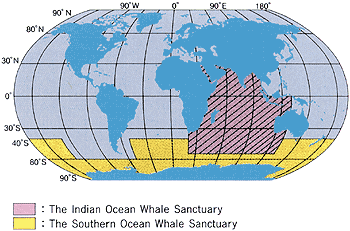 Southern Ocean Whale Sanctuary ICJ IntLawGrrls