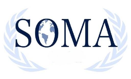 Southern Ontario Model United Nations Association