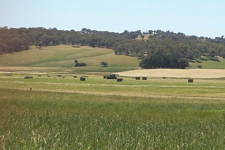 Southern Tablelands Hay bales on the southern tablelands of New South Wales ABC Rural