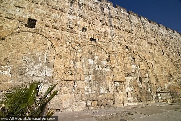 Southern Wall Jerusalem in the Second Temple Period Accessible Tour Book online