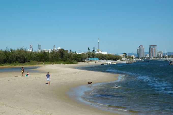 Southport Spit The Spit Dog Off Leash Beach Southport Must do Brisbane