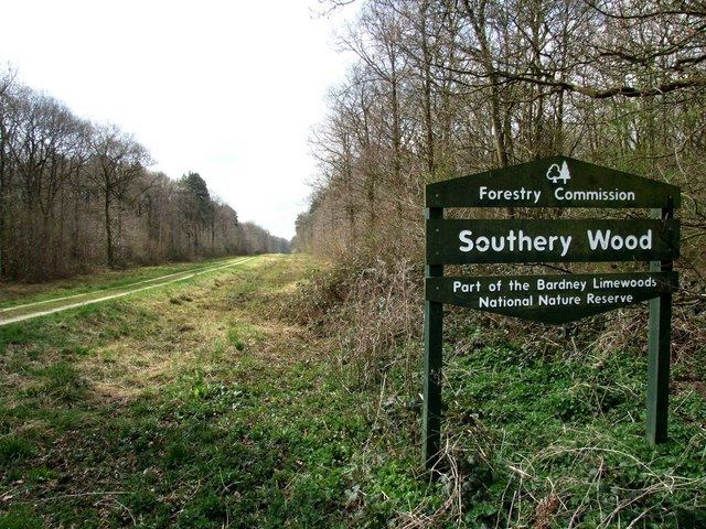 Southrey Wood