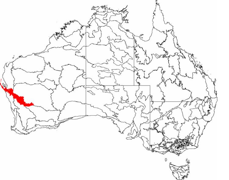 Southwest Australia savanna