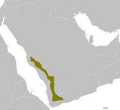 Southwestern Arabian montane woodlands httpsuploadwikimediaorgwikipediacommonsthu