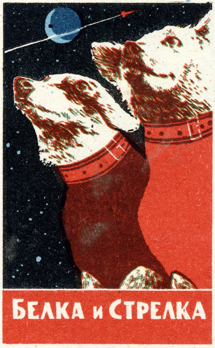 Soviet space dogs Graphics amp Posters of Soviet Space Dogs