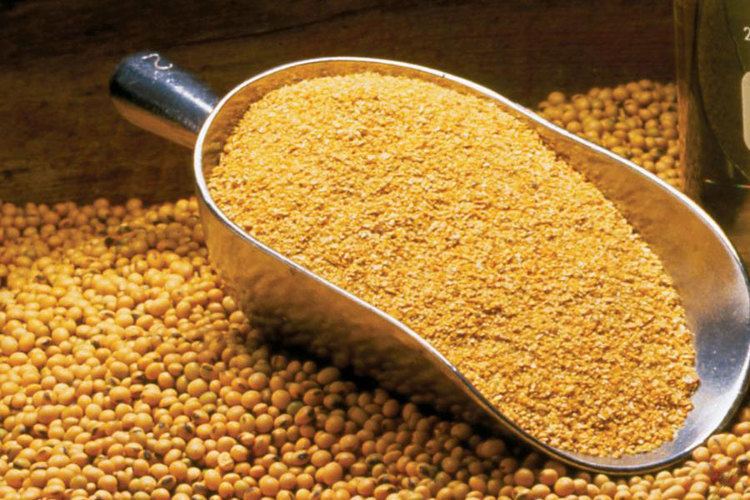 Soybean meal Non Gmo Soybean Meal Non Gmo Soybean Meal Suppliers and