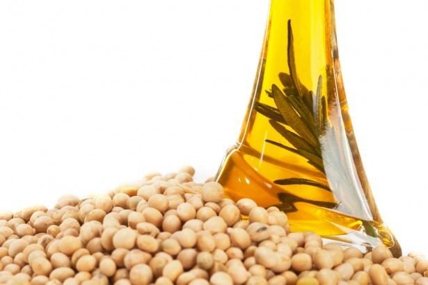 Soybean oil Innovative Soybean Oil for Hair Treatment Hairobics All Natural
