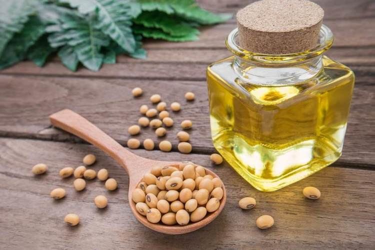 Soybean oil Soybean Oil Good or Bad for You SafeBee
