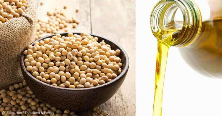 Soybean oil Soybean Oil Another Harmful Ingredient in Processed Foods
