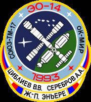 Soyuz TM-17 httpsuploadwikimediaorgwikipediacommonsthu