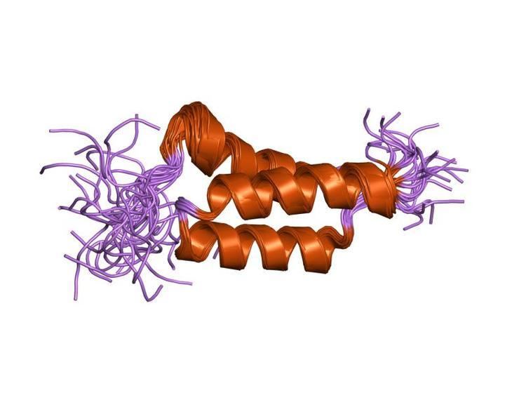 SpAB protein domain