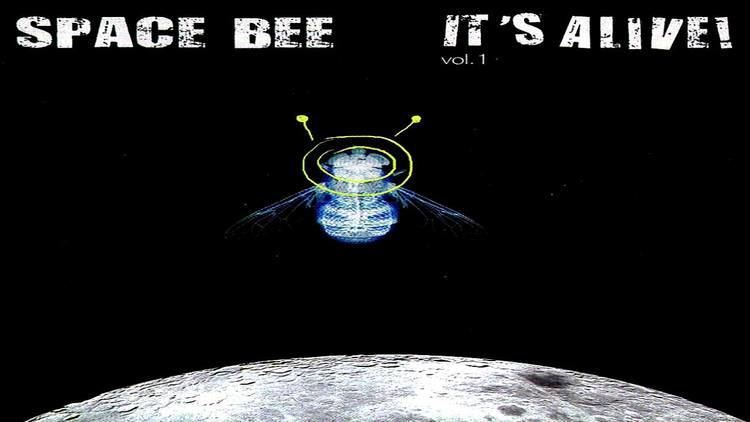 Space Bee Space Bee Sin Mirar YouTube