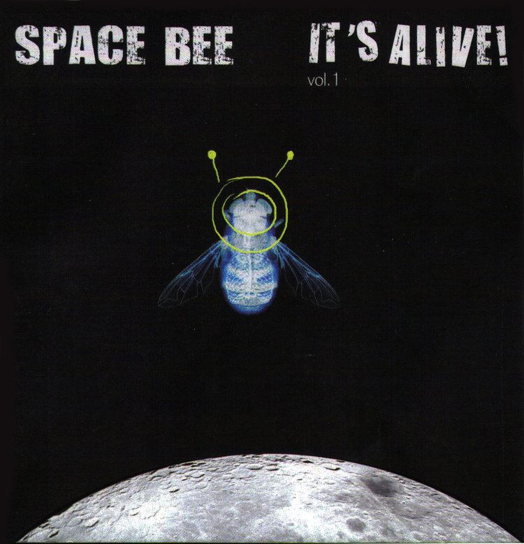 Space Bee Music Space Bee