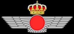 Spanish Air Force httpsuploadwikimediaorgwikipediacommonsthu