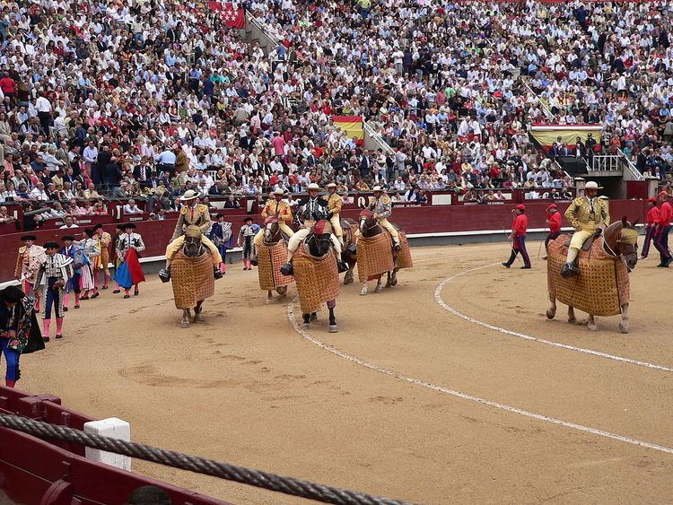Spanish-style bullfighting