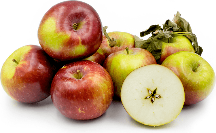 Spartan (apple) wwwspecialtyproducecomsppics1541png