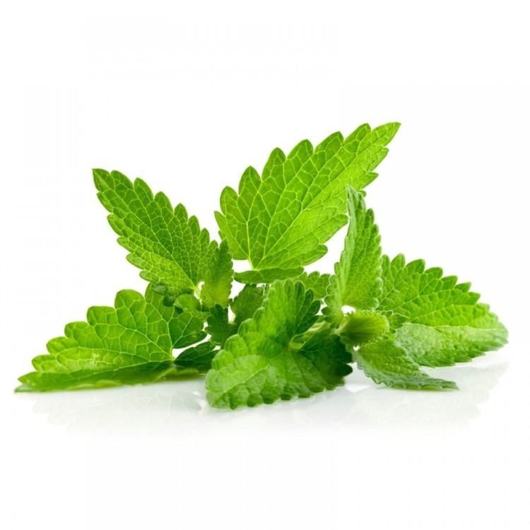 Spearmint Spearmint Alma Naturals