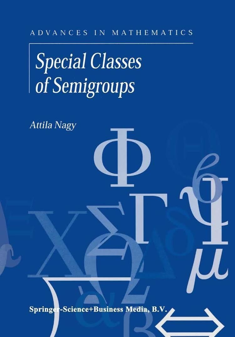 Special classes of semigroups t0gstaticcomimagesqtbnANd9GcTivI4nVHVmHn11wt