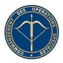 Special Operations Command (France) httpssmediacacheak0pinimgcomoriginalsa7