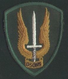 Special Service Force