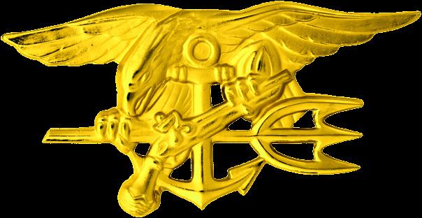 Special Warfare insignia